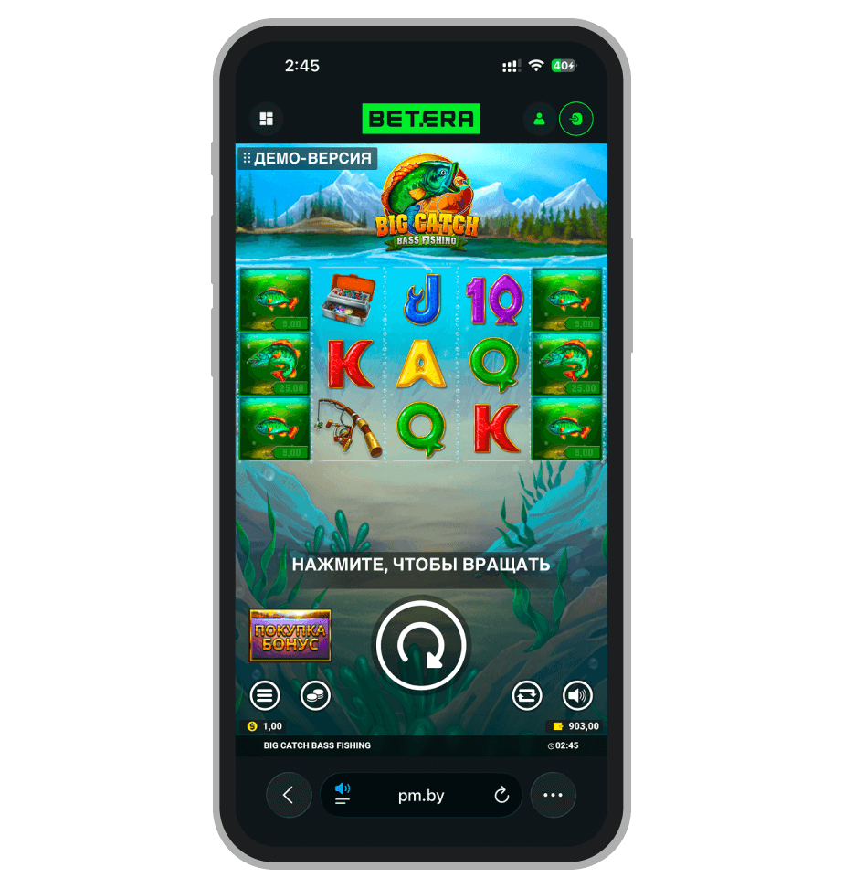 Big Catch Bass Fishing