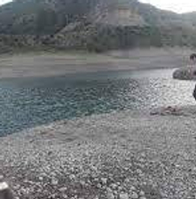 iliiayryk