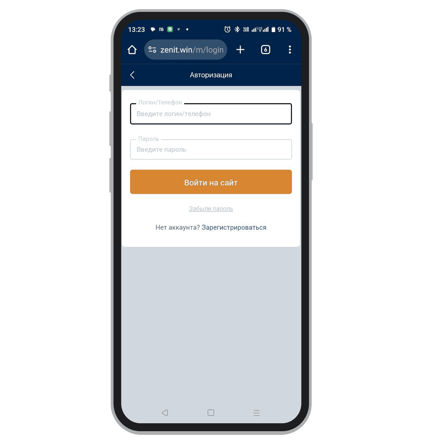 Форма для входа в личный кабинет