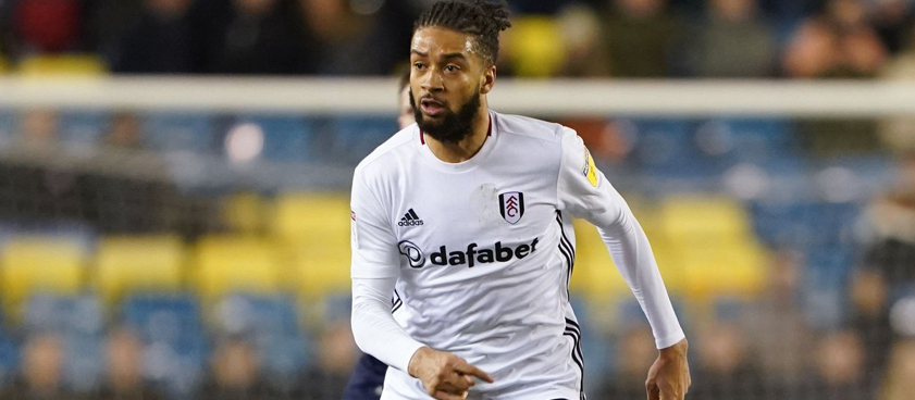 Fulham – Swansea: ponturi fotbal Championship