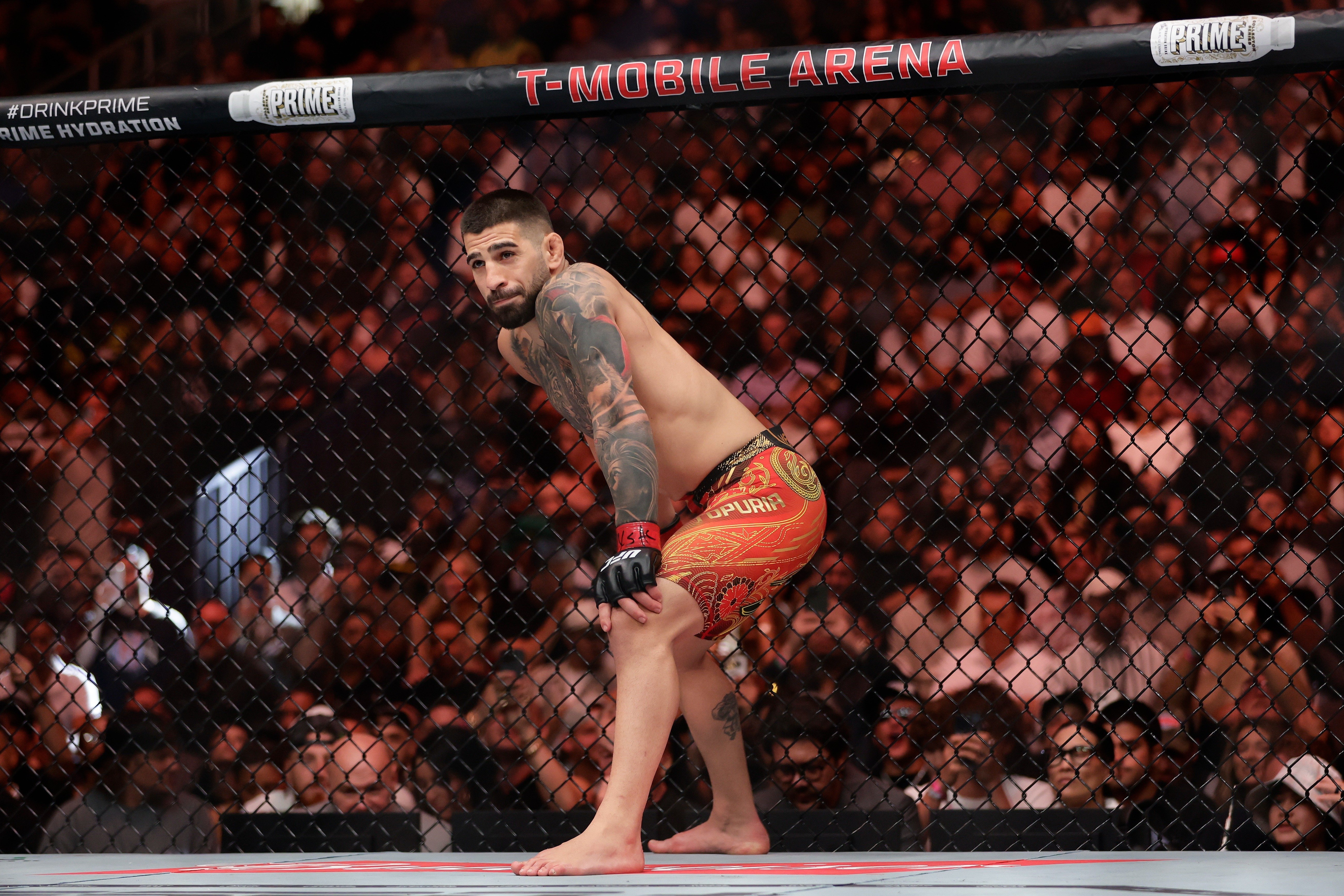 топурия гейджи прогноз