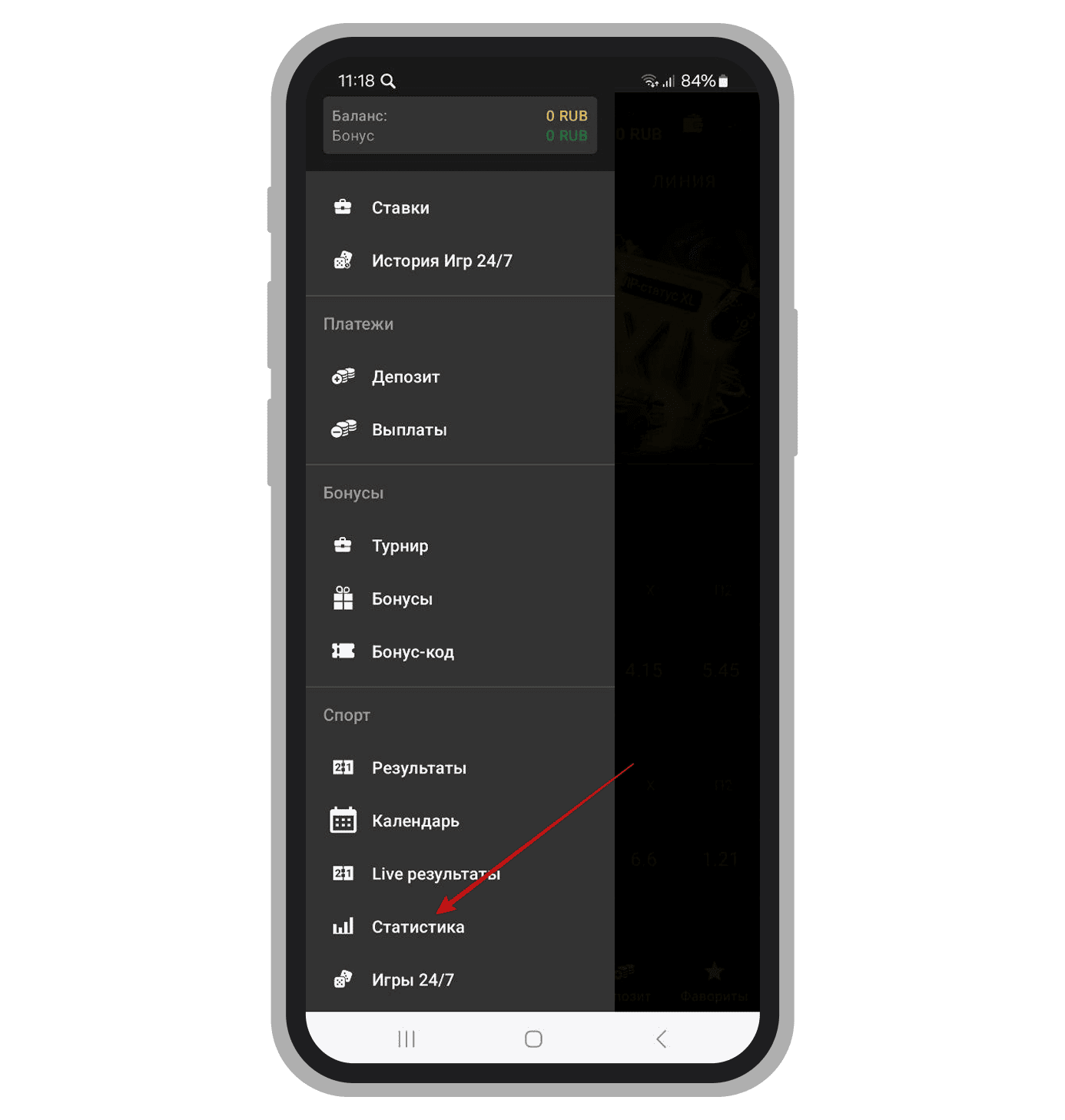 Раздел статистики в меню приложения