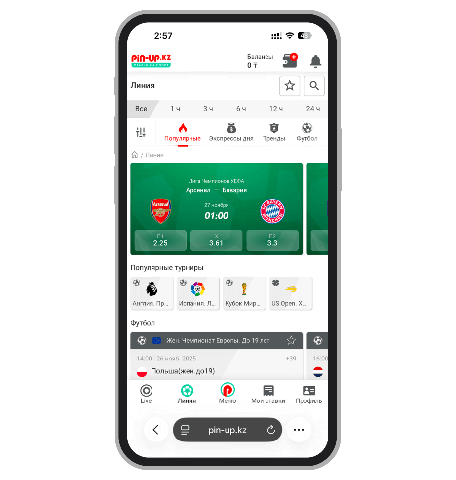 Линия в БК Pin-Up