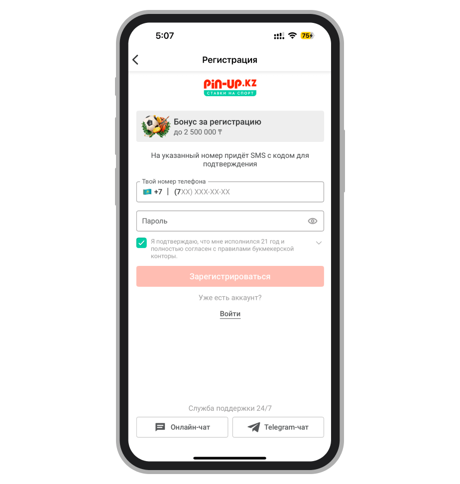 Выбор способа регистрации