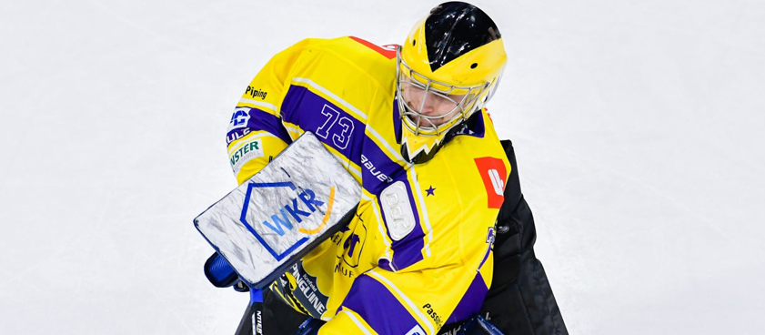 Krefeld Penguins – Nurnberg Ice Tigers: ponturi pariuri sportive hochei pe gheata DEL