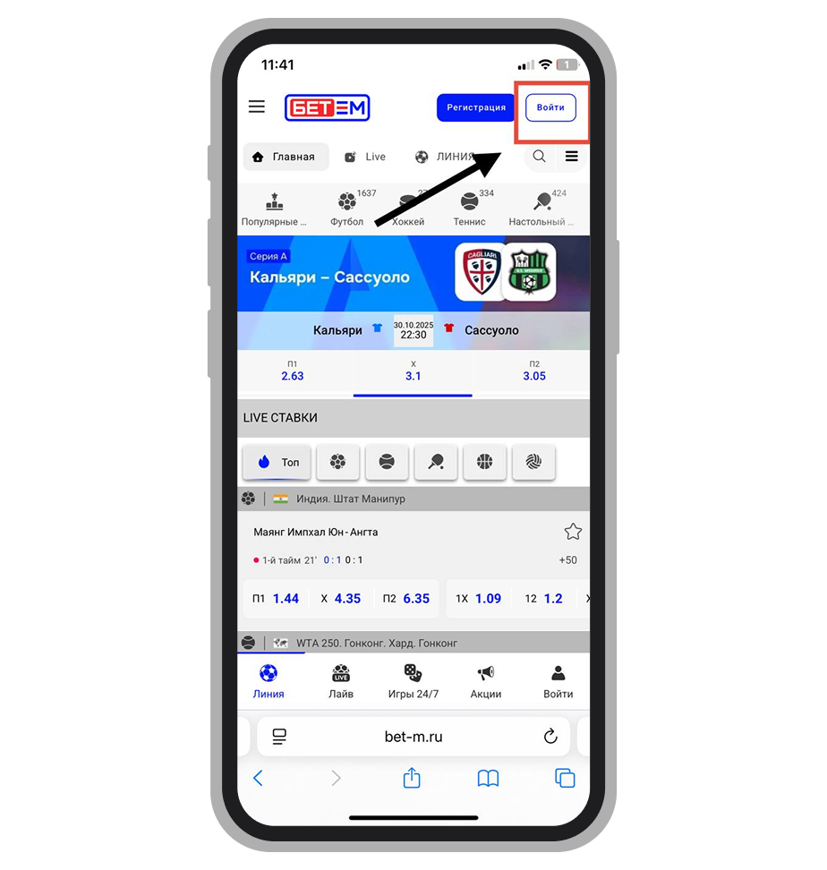 Кнопка входа