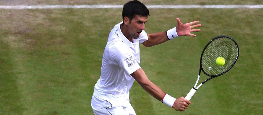Новак Джокович – Давид Гоффин: прогноз на теннис от Александра Олейника