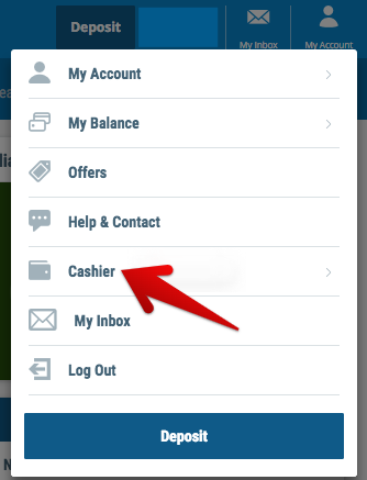 Click on the “Cashier” tab