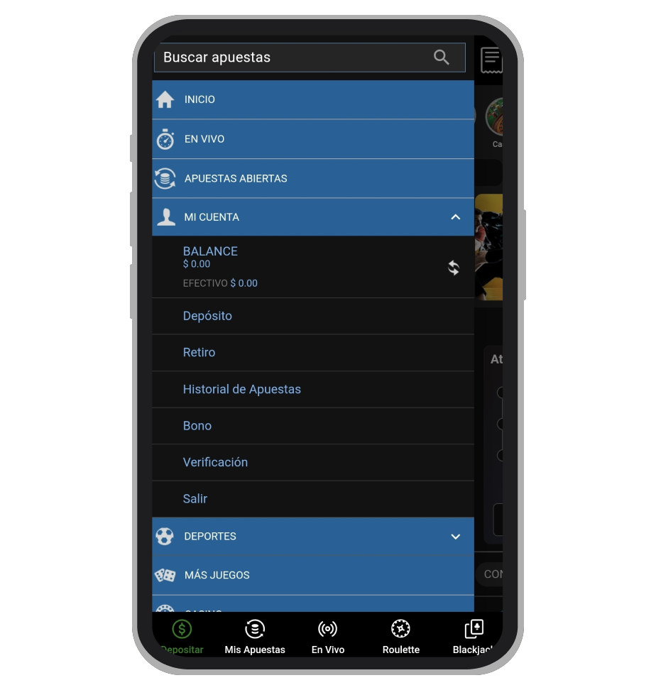 Verificación en Winner.mx App