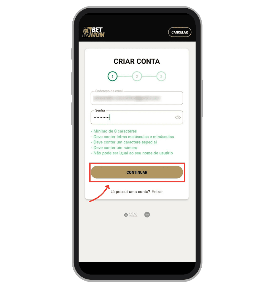 Informe o seu e-mail e toque em “Continuar”