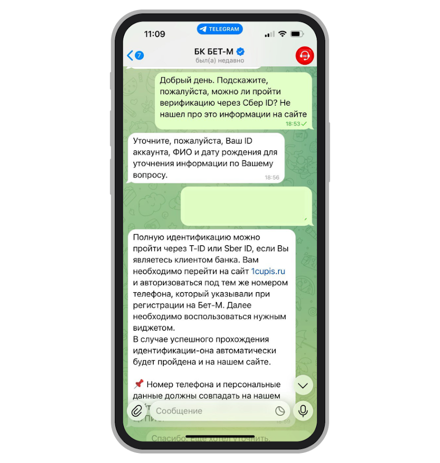 Переписка с поддержкой