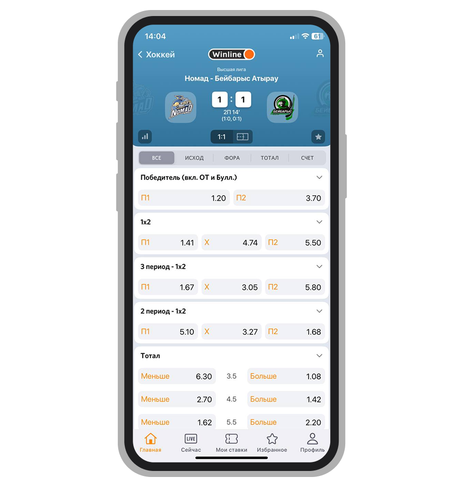 Линия на хоккейный матч