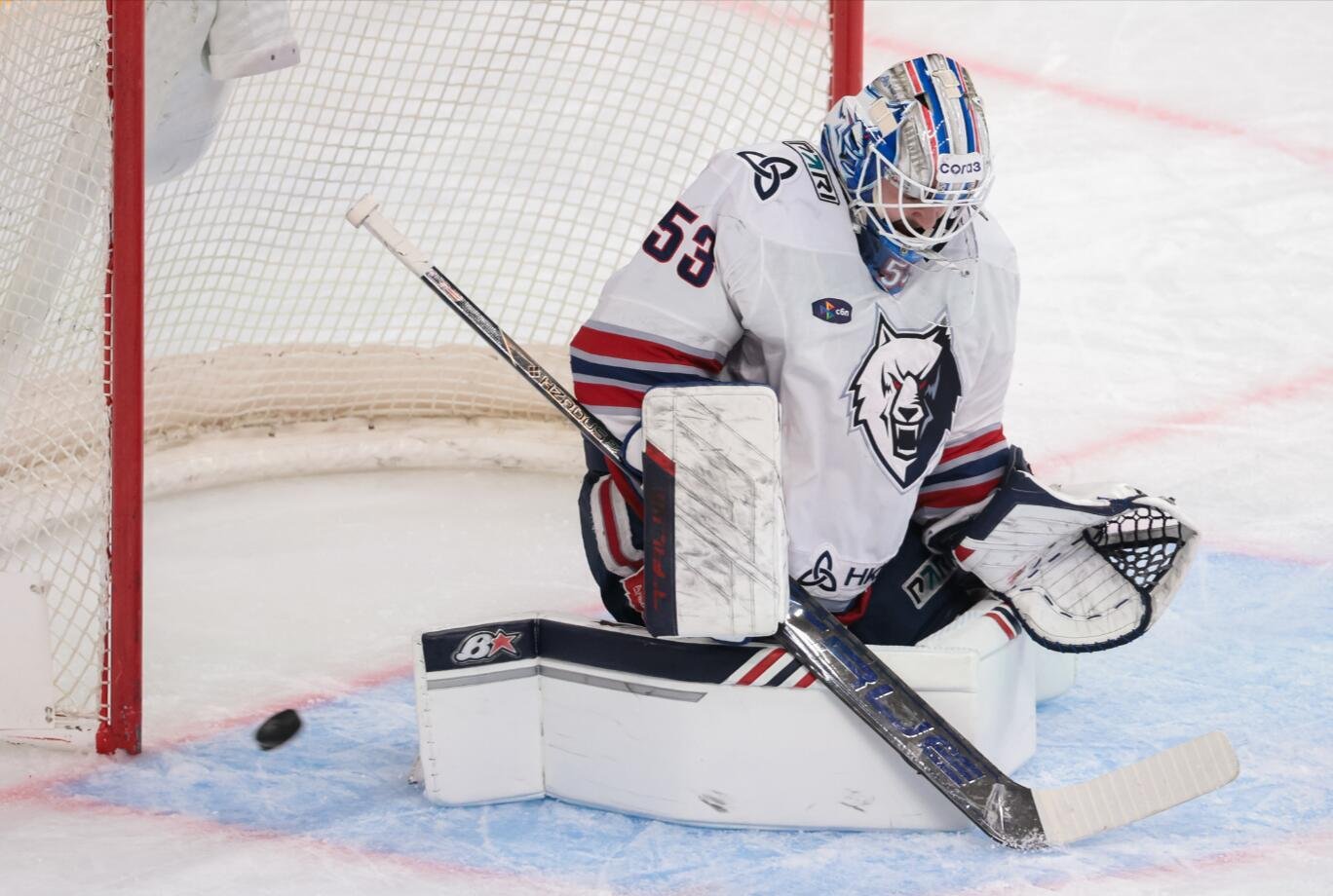 36 сейвов Долганова помогли «Нефтехимику» всухую обыграть «Салават Юлаев» в КХЛ.