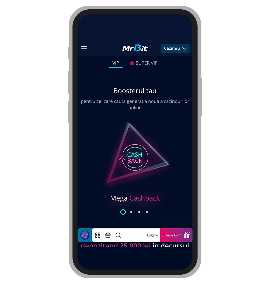 Programul VIP Mr Bit