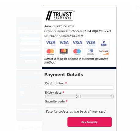 Enter the payment details