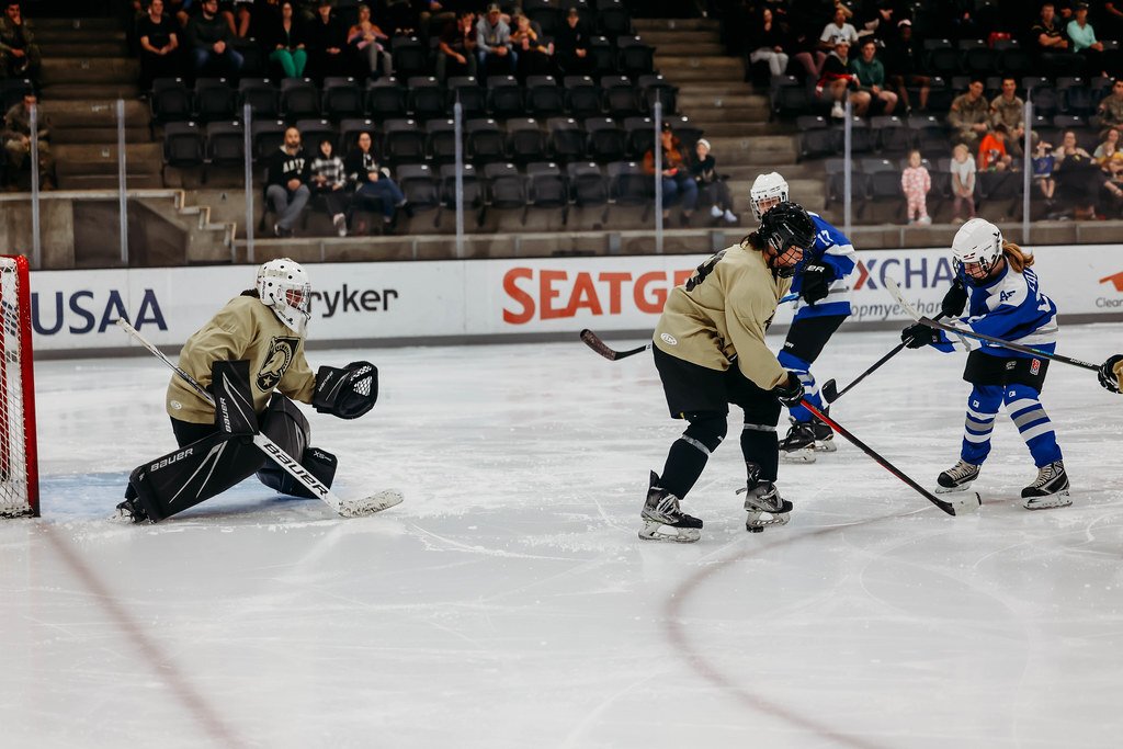 Шорт хоккей доступен для всех