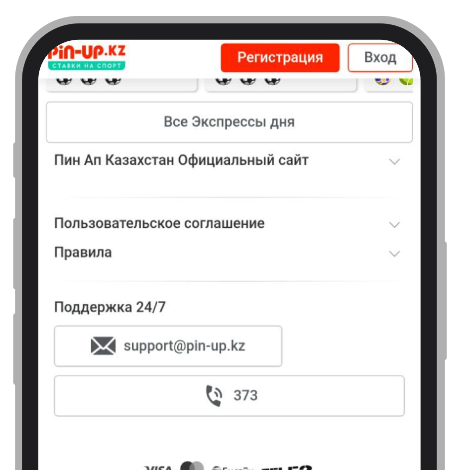 Поддержка Пин Ап