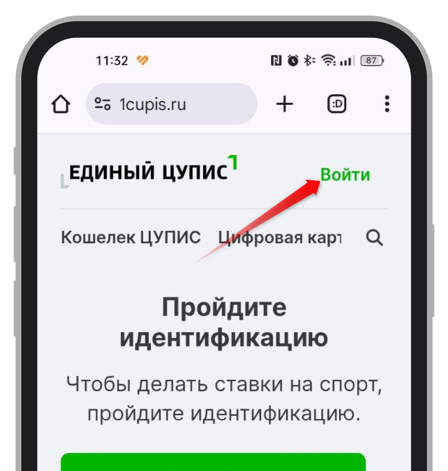 Кнопка «Войти» на сайте ЦУПИС