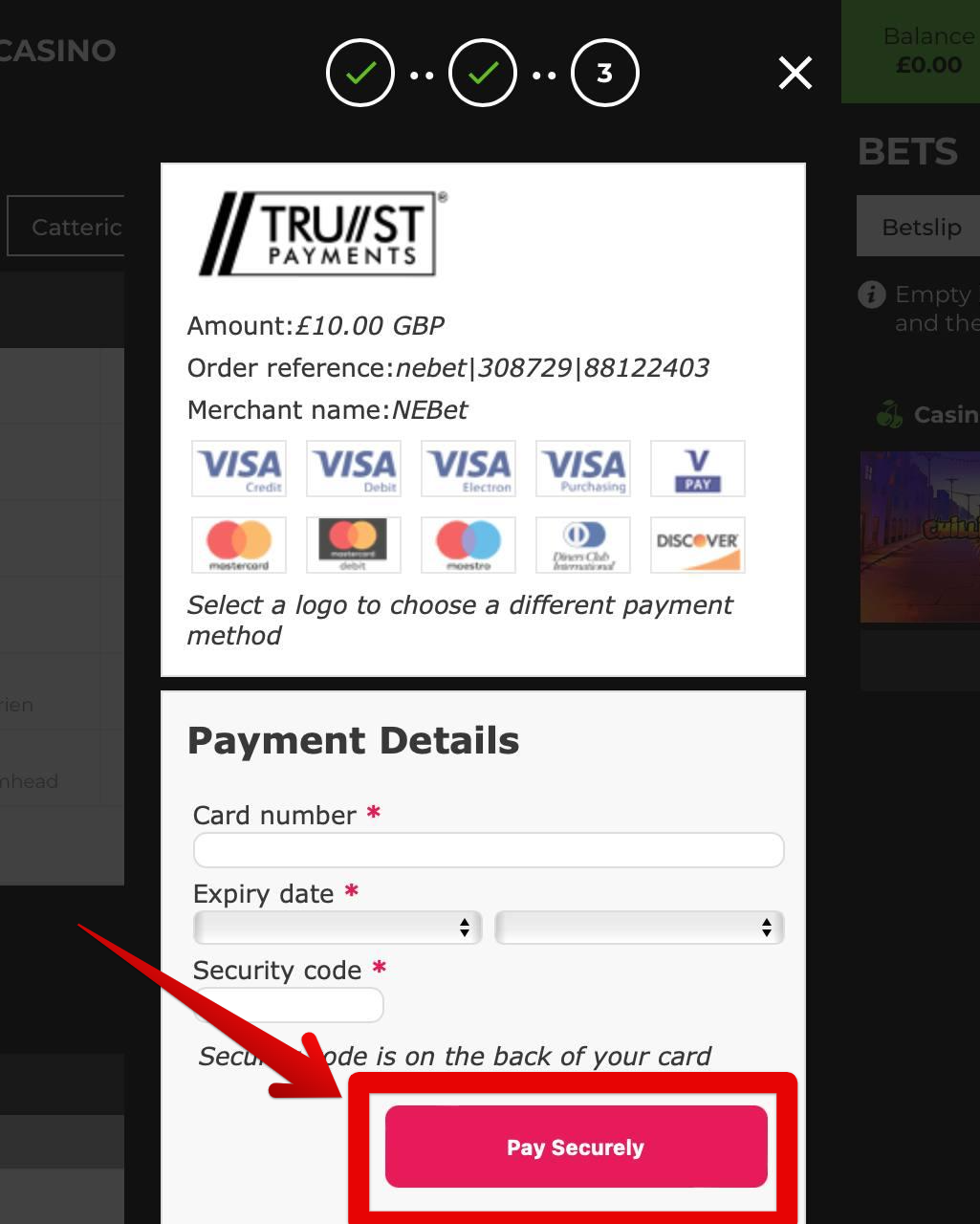 Enter the payment details
