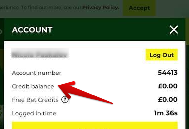 Confirm your “Credit Balance”