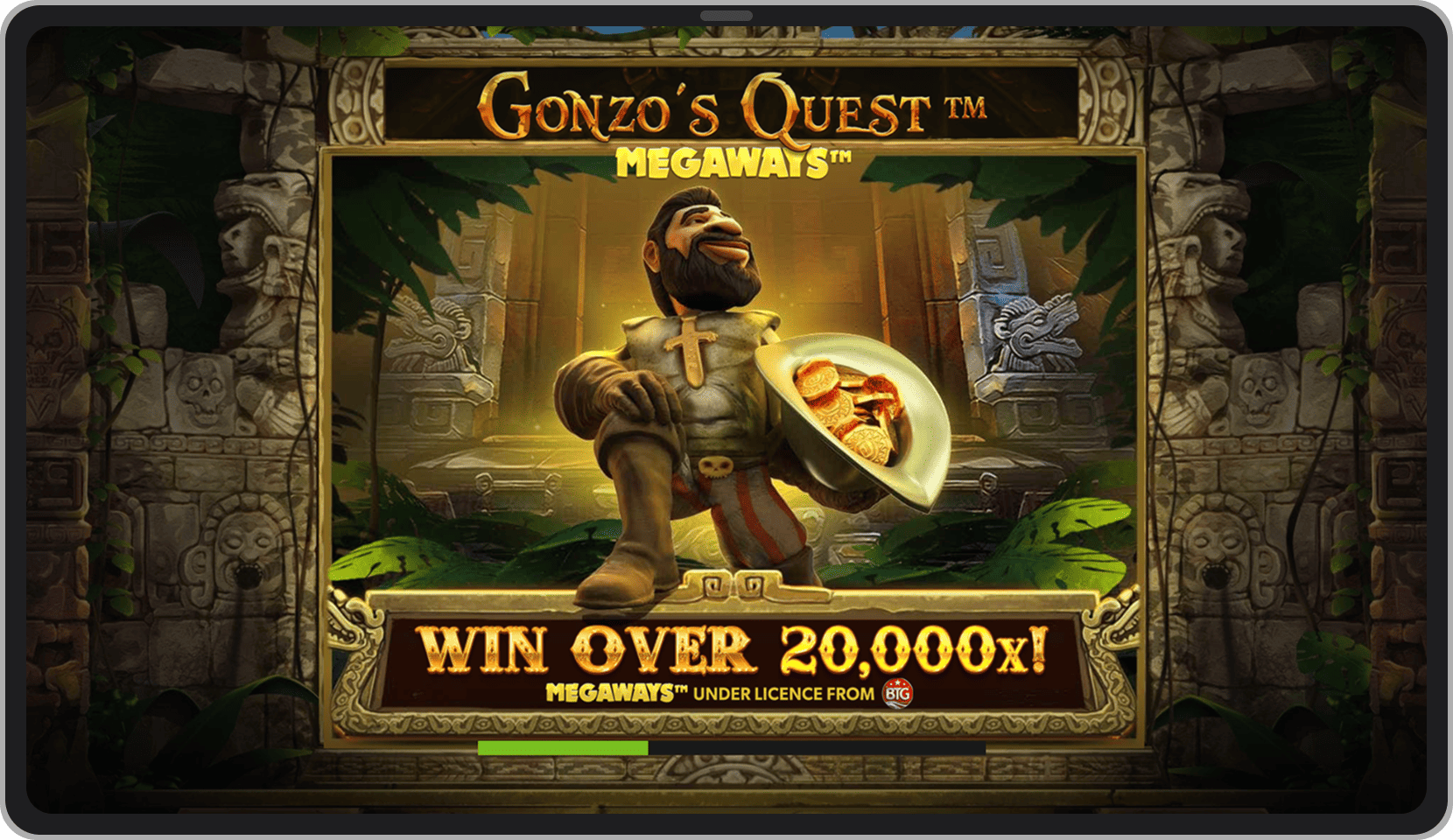 Ecran de introducere