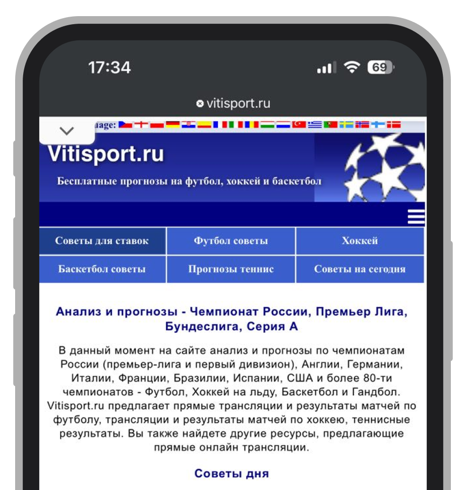 Мобильная версия сайта Vitisport