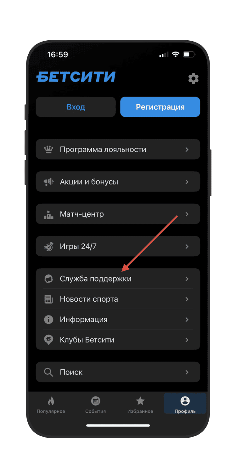 Меню профиля в приложении