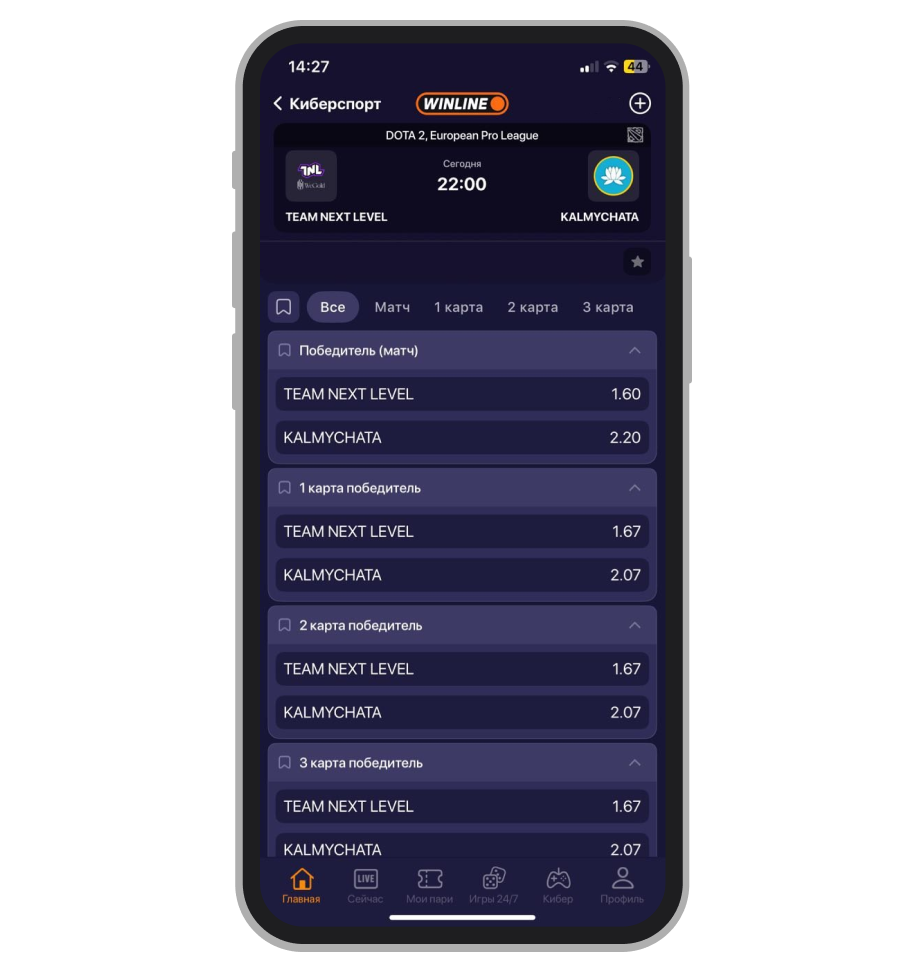 Роспись ставок на Dota 2 в Winline