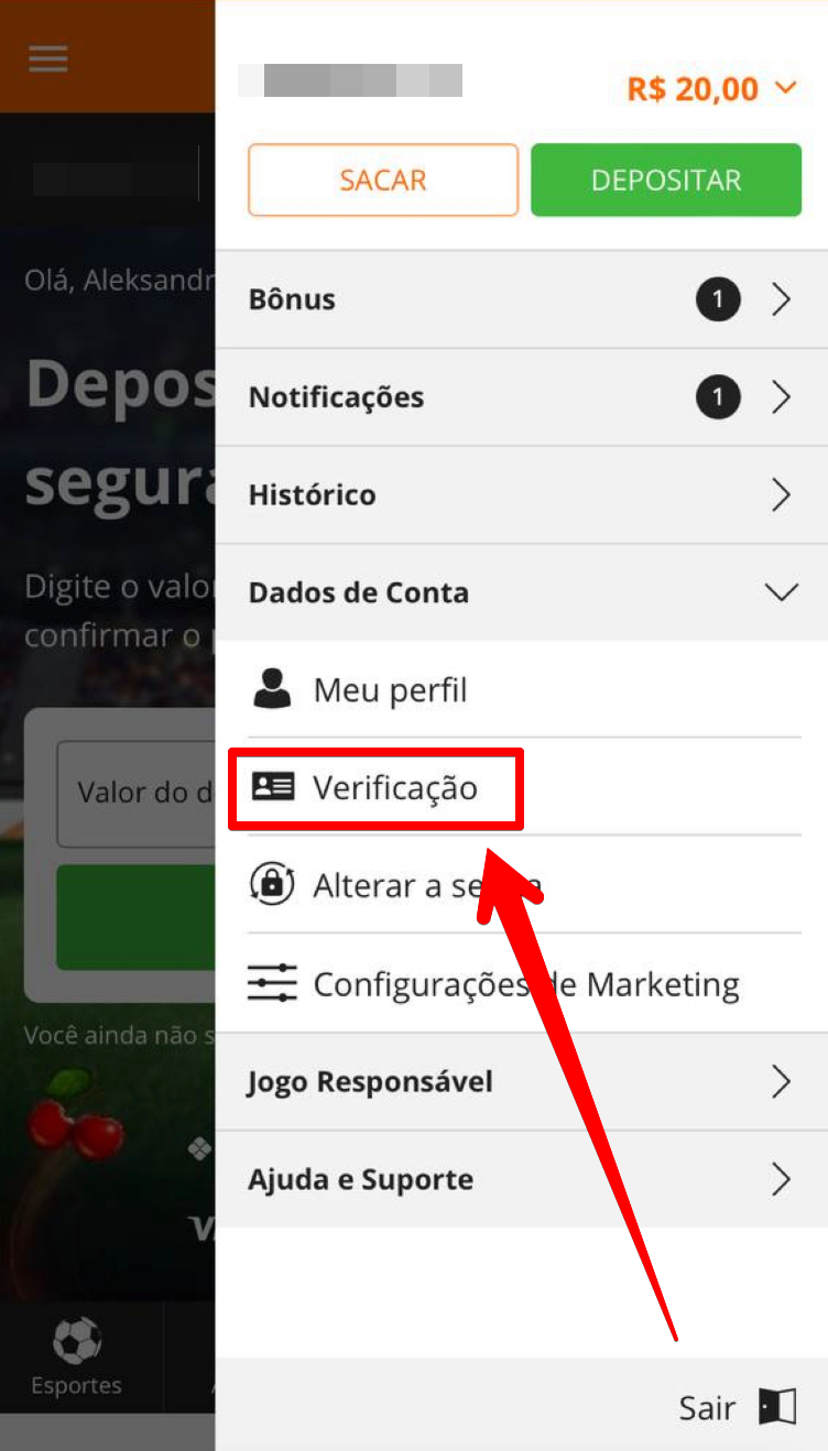Escolha “Verificação” 