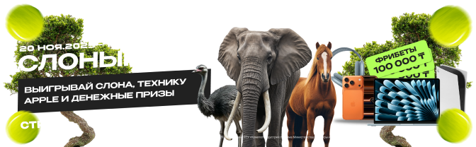 Тенниси: Обзор | ШС | Фидбек