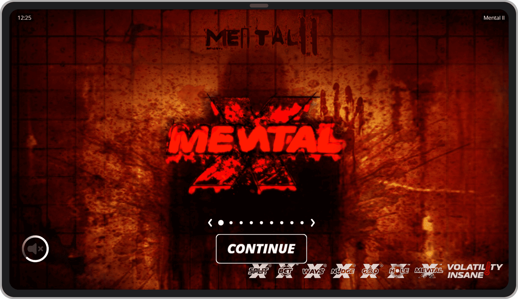 Ecran de introducere