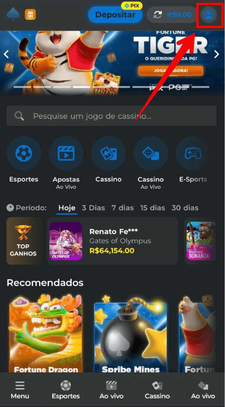 Acesse o menu do perfil