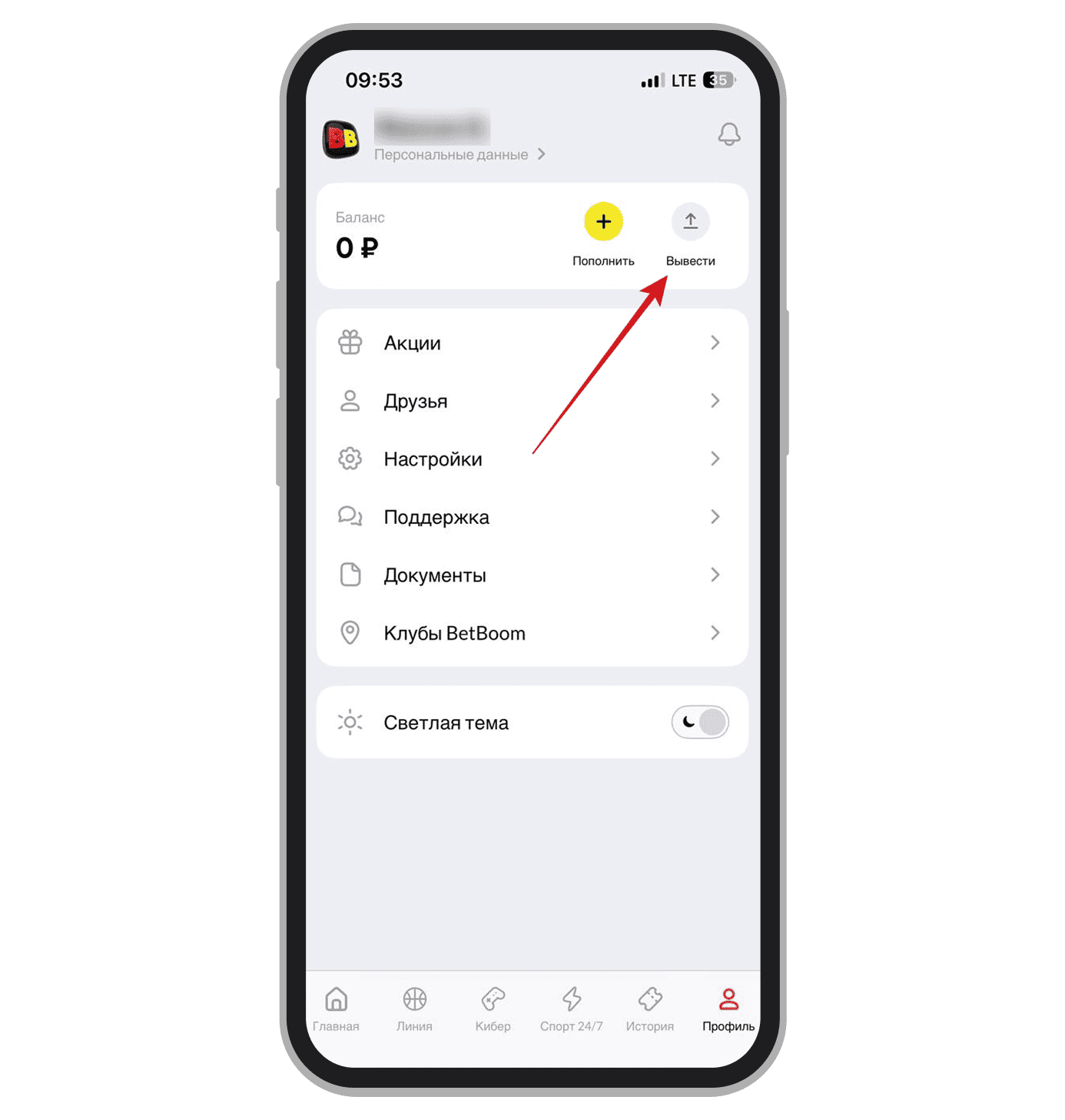 Раздел для оформления вывода средств
