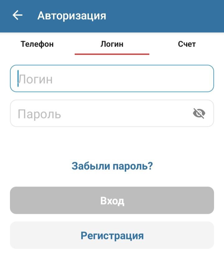 Авторизация по логину