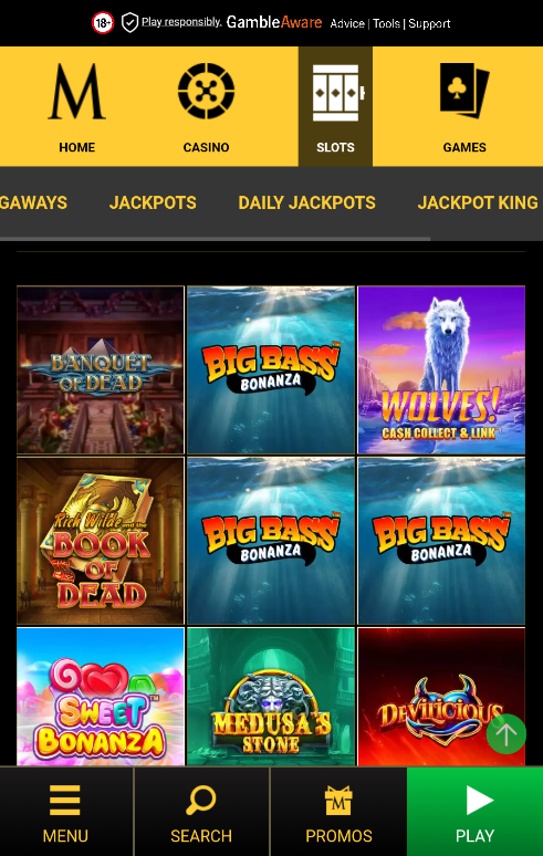 Slots in Mega Casino