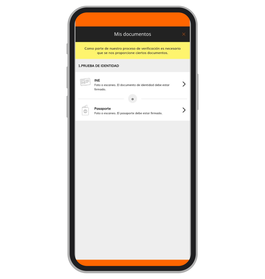 Página de verificación
