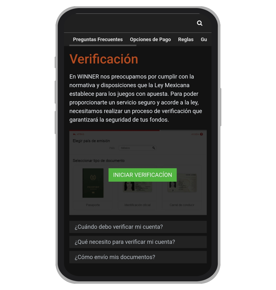 Iniciar verificación