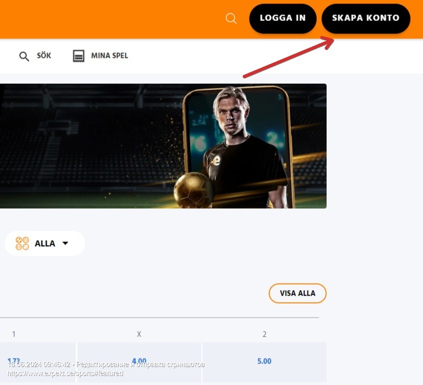 Huvudsida