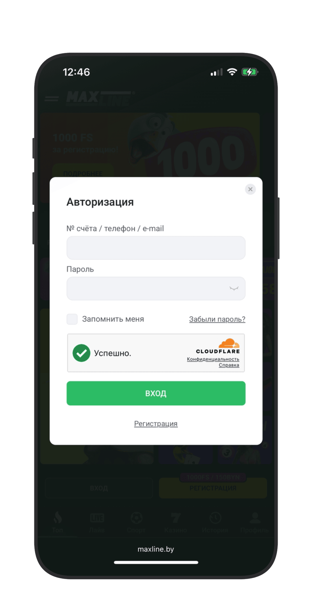 Окно авторизации в «Макслайн»