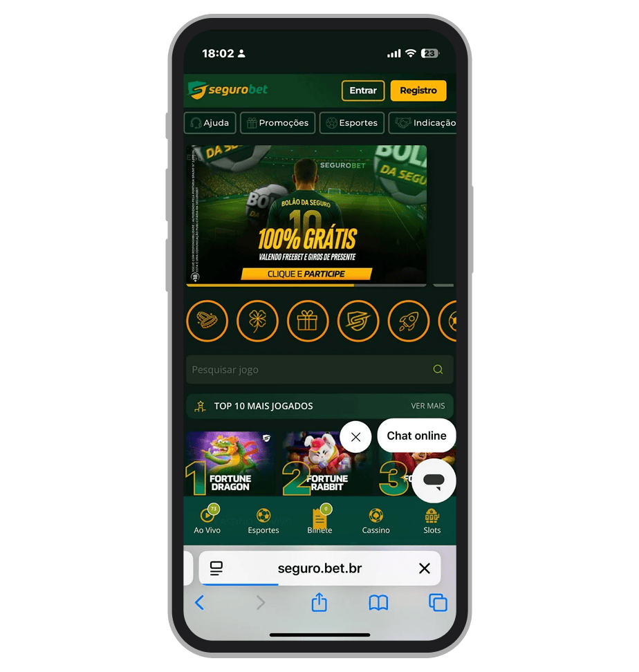 A interface da Segurobet 