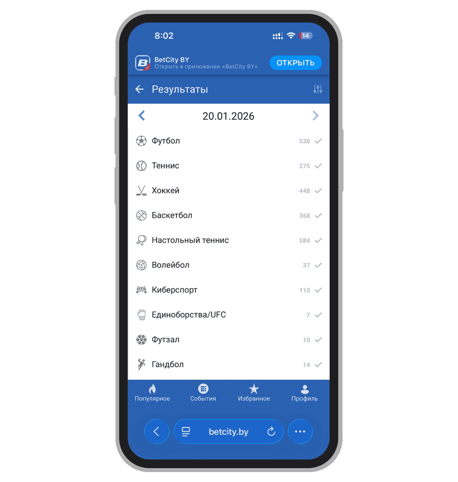 Раздел результатов