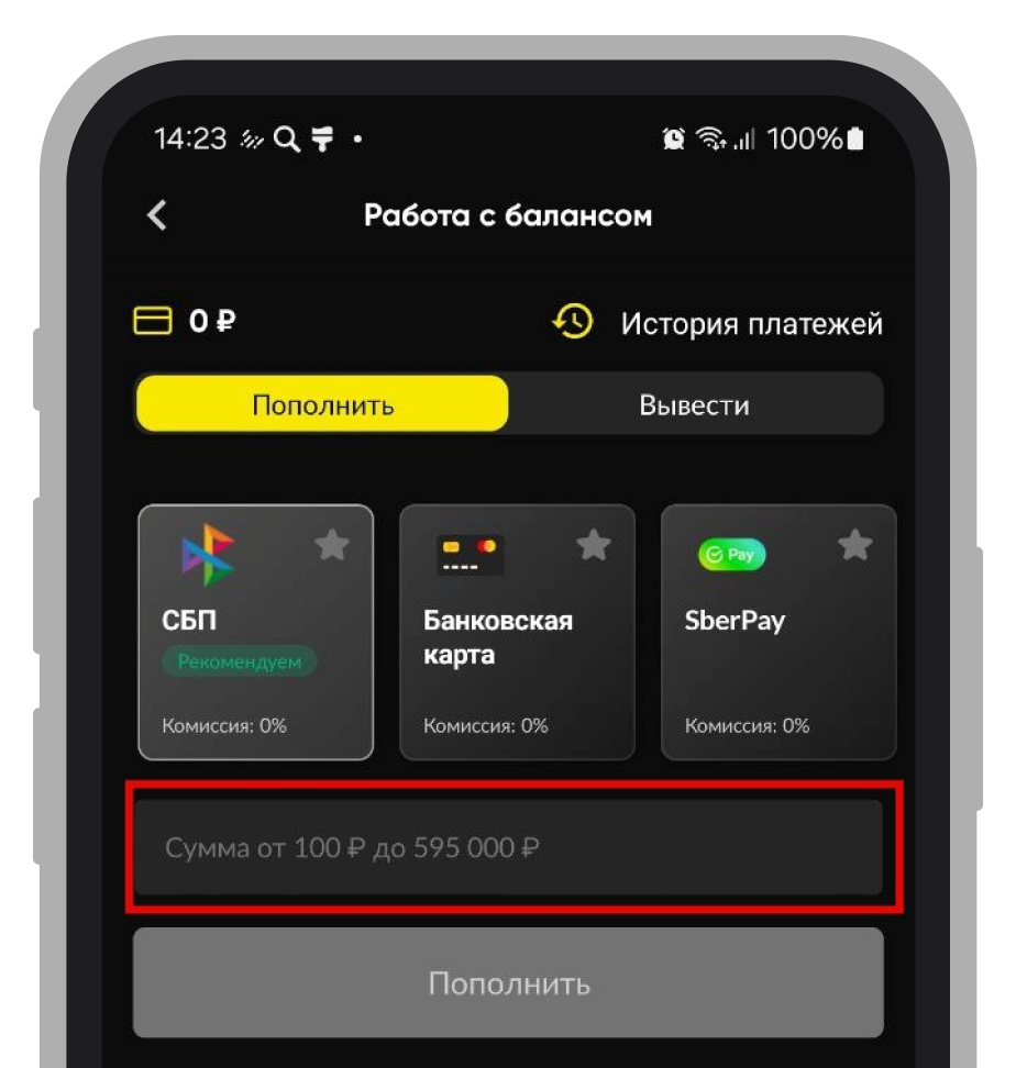 Выбор способа пополнения и суммы