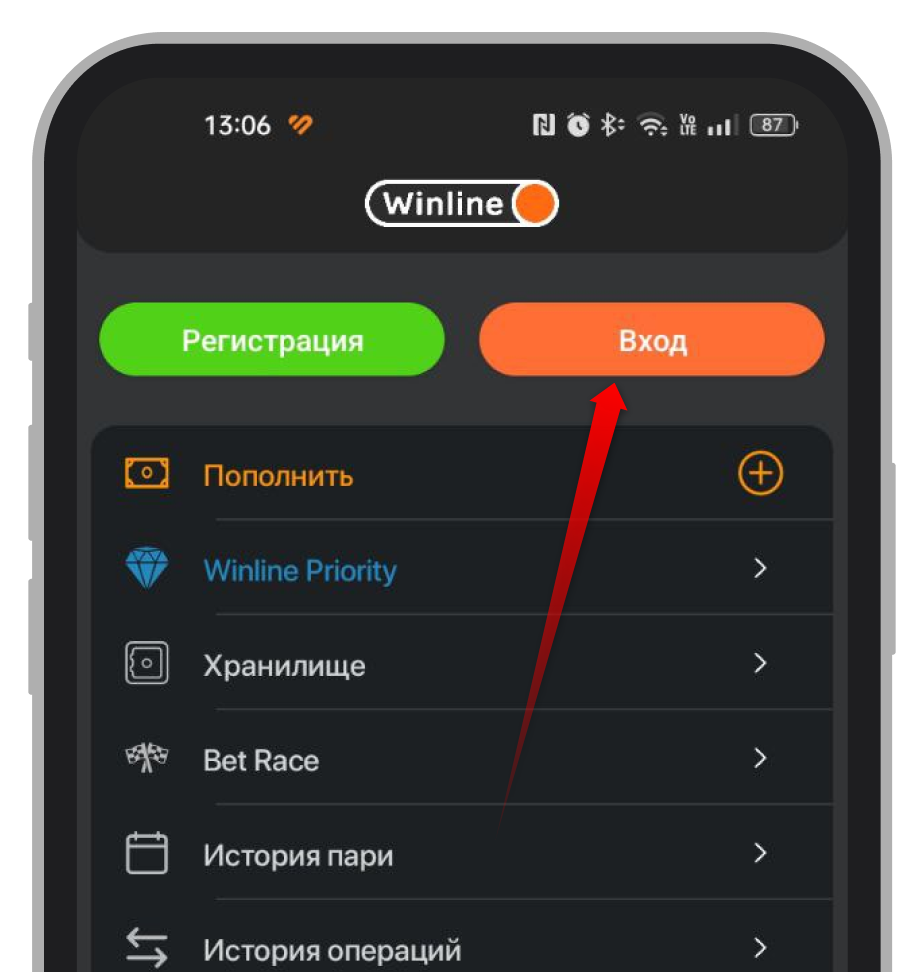 Кнопка «Вход»