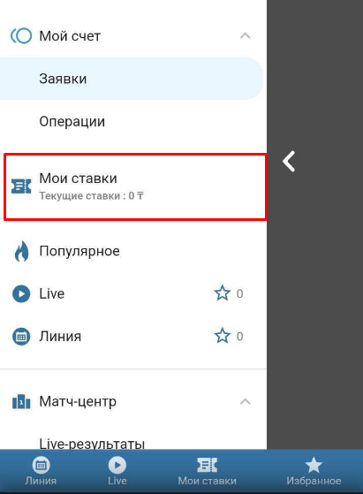 Раздел «Мои ставки»