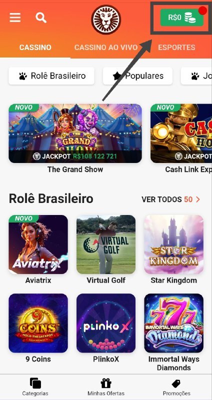 Acesse o ícone