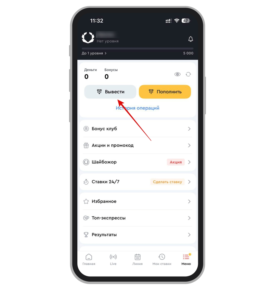 Меню вывода средств в приложении