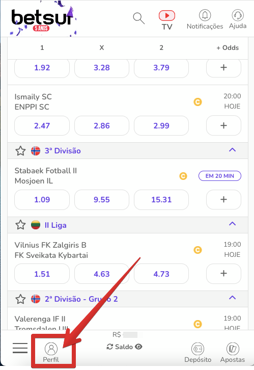 Acesse o menu do Perfil