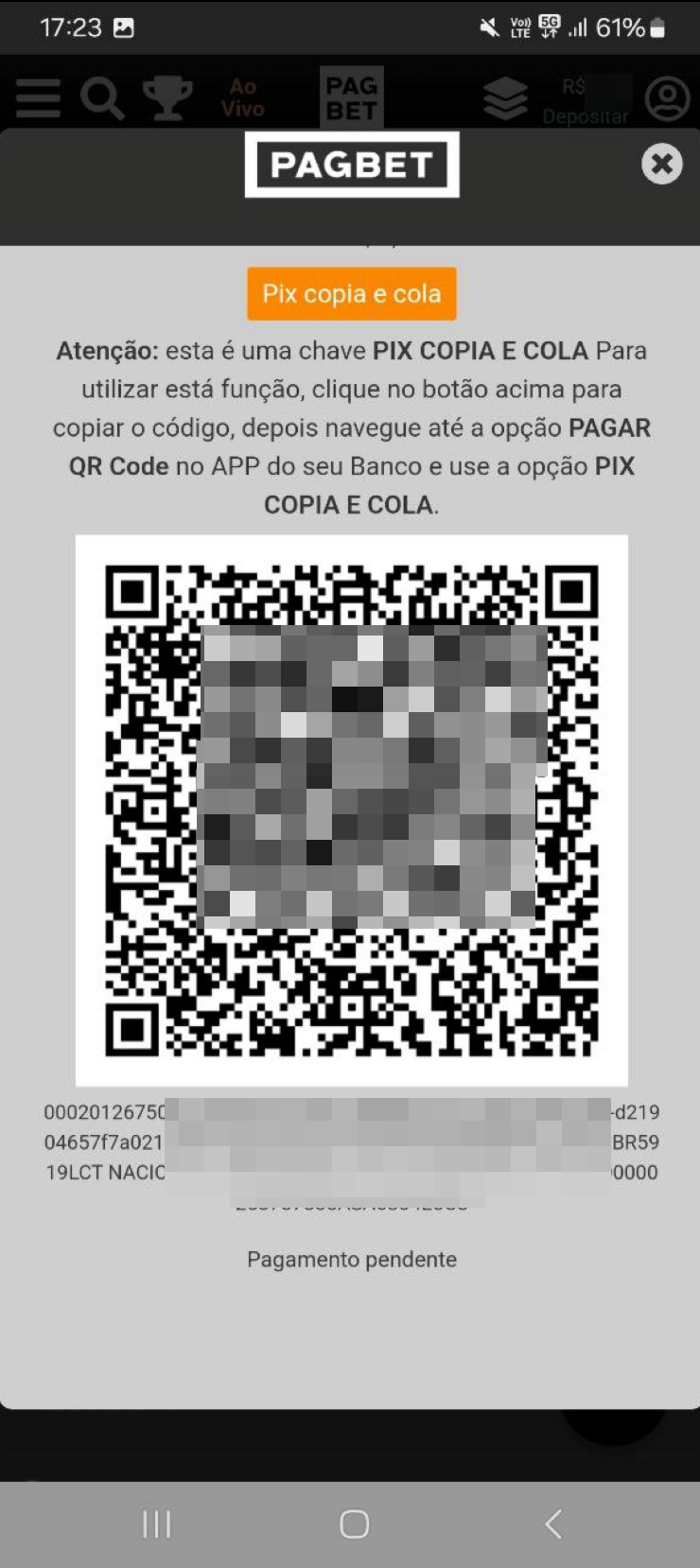 No caso de pagamento via Pix aparecerá o código QR. 
