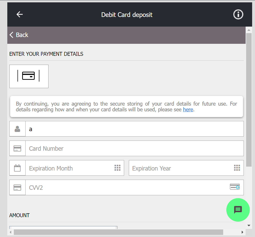 Enter your debit card details