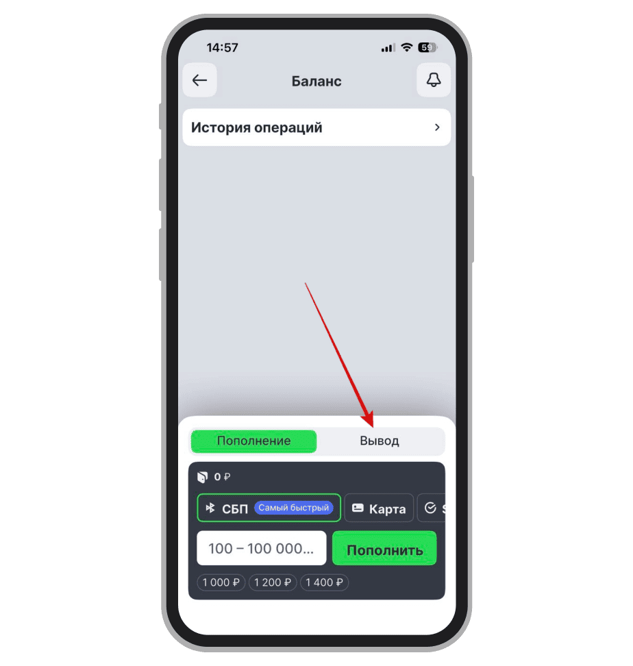 Раздел для заказа выплаты